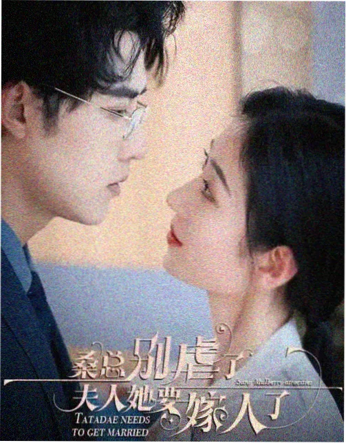 旧巷照相馆 神马影院治愈剧在线观看